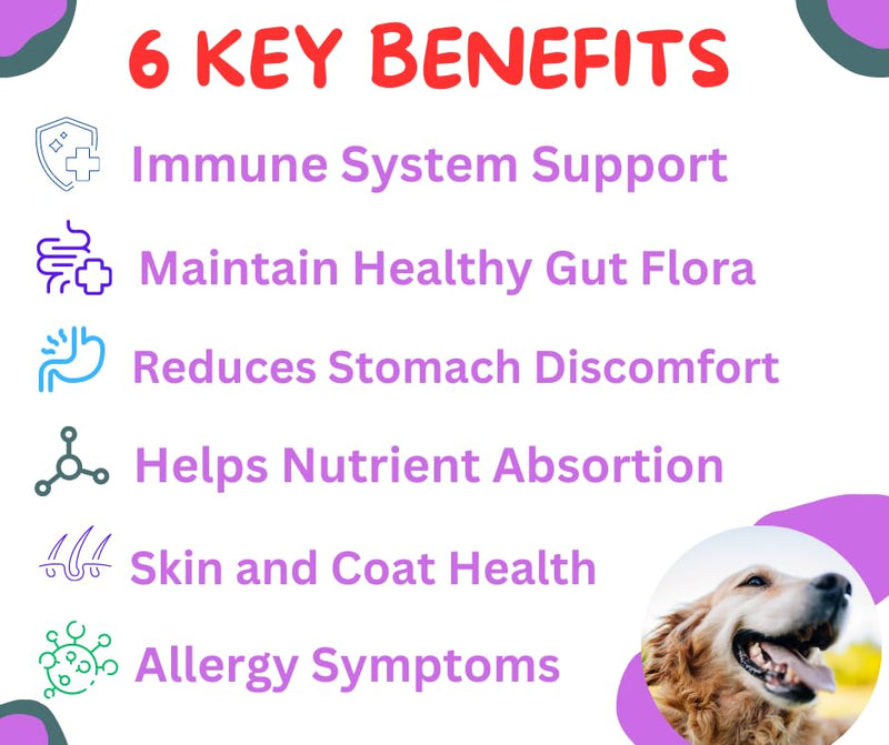 FREYDELL Pets Probiotics for Dogs Dog Upset Stomach Relief Dog probiotic, Fiber Supplement for Dogs, Yeast Infection Treatment for Dogs & Dog Diarrhea Medication, Probiotic for Dogs of All Ages. - PawsPlanet Australia
