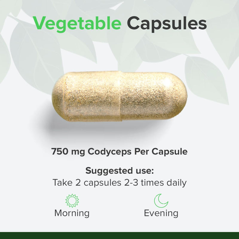 Cordyceps Sinensis 750mg, 90 Capsules - High-Strength, Pure Superfood Mushroom for Immune & Energy Boost - Supports Overall Health, Free from Magnesium Stearate Support by Raw Powders