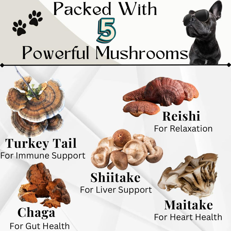 Dogs Immune Support Mushroom Supplement - Supports Longevity, Cognition, Joint, Cellular & Gut Health - All Natural Organic, GrainFree - Buddy Guard for Lumps and Bumps, Chicken Flavor - 90 Chews - PawsPlanet Australia