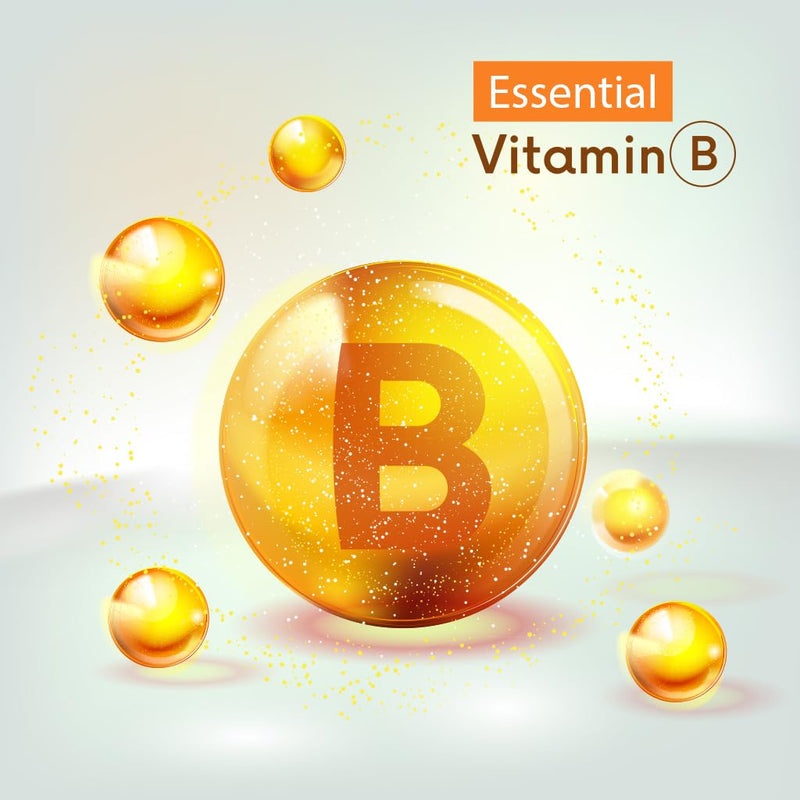 Vitamatic Folic Acid 400 mcg - 500 Vegetarian Tablets - Vitamin B9
