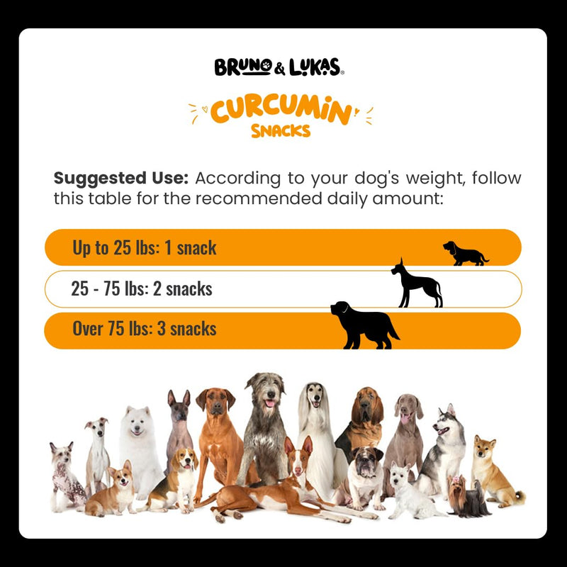 Turmeric Chews for Dogs – Hip & Joint Health Supplement Pain Relief Anti Inflammatory Arthritis Coconut Oil Vitamin E MSM Mobility Curcumin Skin Muscle Relaxer Black Pepper (90 Soft Chews) - PawsPlanet Australia