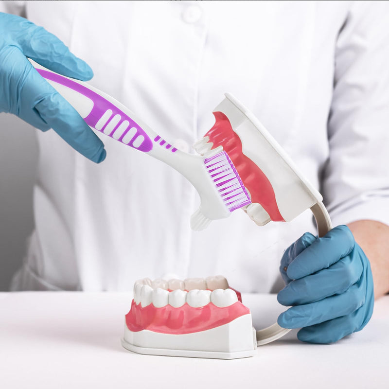 [Australia] - Pack of 2 denture cleaning brush, portable cleaning brush, 2 denture box, false teeth brush, denture brush, denture brush double head, denture toothbrush brush (purple, blue) purple 1 piece (pack of 4) 