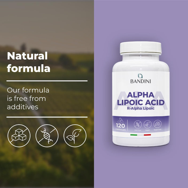 Bandini® Alpha Lipoic Acid 650mg | 120 High Strength ALA Vegan Capsules | 4 Month Supply | Alpha-Lipoic Acid Powerful Antioxidant | Maximum Absorption Aminoacid Supplement | No Synthetic Binders 100 count (Pack of 1)