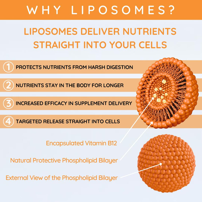 Liposomal Vitamin B12 Oral Spray 1200mcg - High Strength Methylcobalamin Supplement, Fast Absorbing, Methylated Vegan VIT B 12, Energy & Brain Support - Truly Fruity Mango (180 Sprays)
