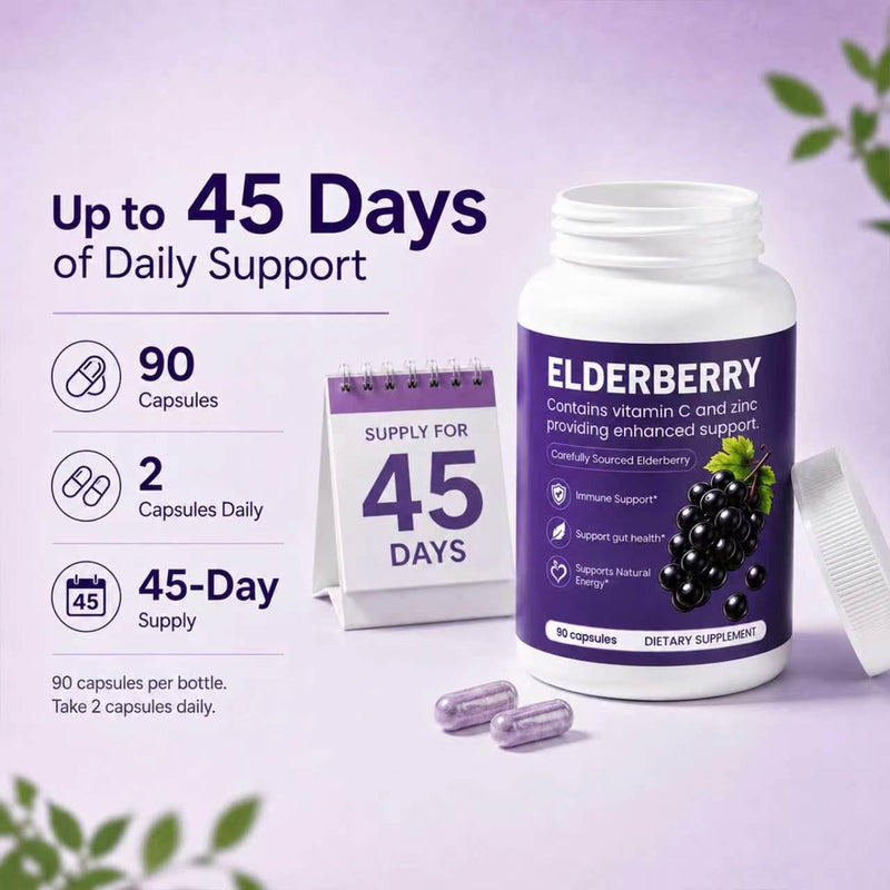 Elvera Elderberry Gut Support with 1200mg Elderberry Extract, Vitamin C and Zinc | Daily Immune & Digestive Balance for Everyday Wellness & Healthy Metabolism 90 Capsules