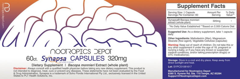 [Australia] - Nootropics Depot Synapsa Bacopa Monnieri Capsules | 320mg | 60 Count | Whole Plant Extract | Ayurveda Supplement | Adaptogen Herb | to Enhance Learning, Memory & Mental Performance 60 Count (Pack of 1) 