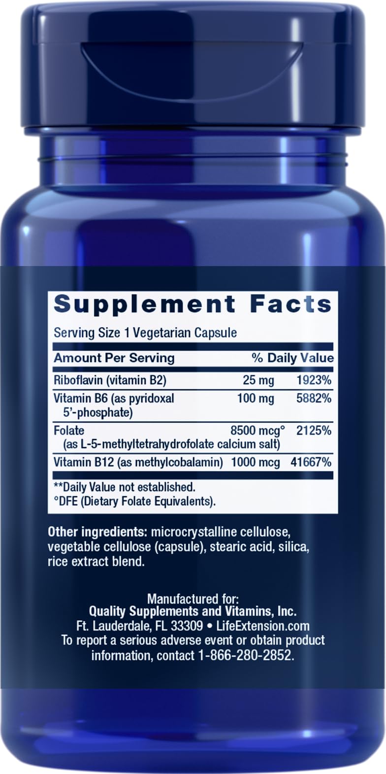 Life Extension Homocysteine Resist, 60 Vegetarian Capsules (Pack of 2) Vitamin B2, B6 & B12 + Folate - Once-Daily, Non-GMO, Gluten-Free 60 Count (Pack of 2)