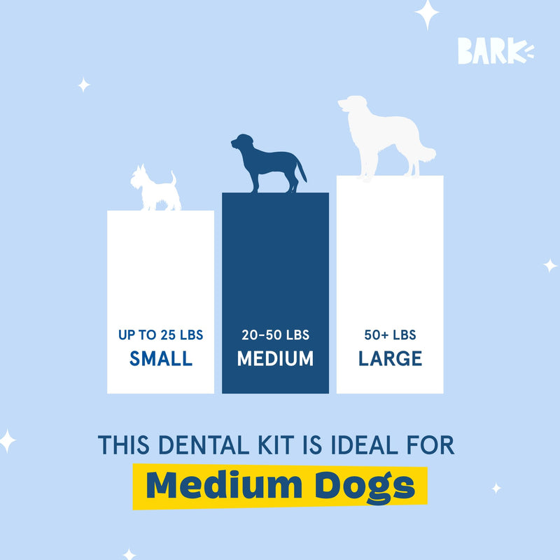 [Australia] - Barkbox Bright Original Dog Dental Kit, 30 Teeth Cleaning Chew Sticks & Toothpaste - Medium Breeds 