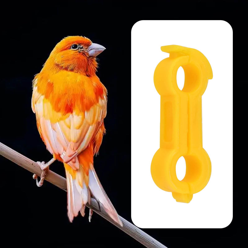 eMagTech 2pcs 4mm Bird Splayed Leg Treatment Ring Bird Splay Leg Hobble Leg Bands for Canaries Smaller Budgies Large British Finches Small Quail Orange - PawsPlanet Australia