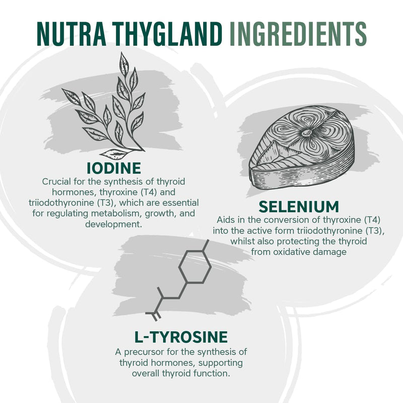 NutraThygland - Supports Normal Thyroid Function - with Selenium, L-Tyrosine, Iodine & Ashwagandha, Vitamin B2, B6, B12 & Iron - Improve Energy Levels - NutraVit, 30 Tablets