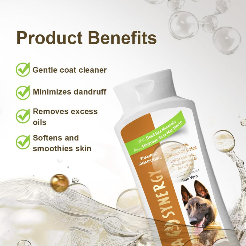 Pet Dog Shampoo Mud and Natural Dead Sea Mineral Rich, Aloe Vera & Vitamin-E, Soothing, Soften, Anti Dandruff, Cleansing- Camel Milk & Coconut Oil - (1) Bottle 16.5 FL OZ - PawsPlanet Australia