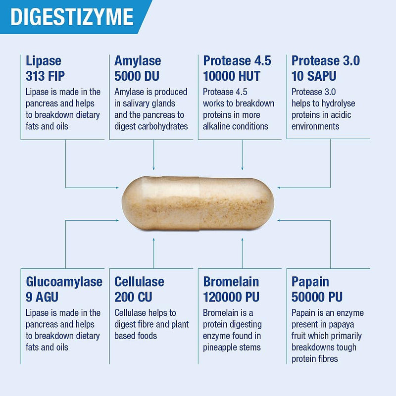 Lamberts Digestizyme 100 Capsules by Lamberts