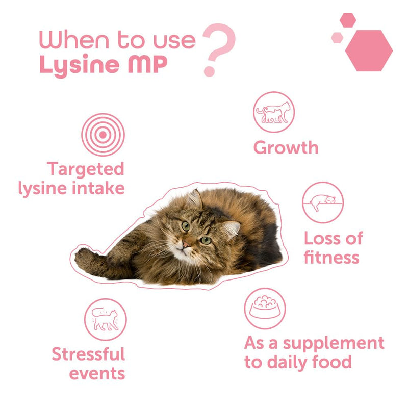 MP Labo Lysine MP 100 Capsules for Cats and Kittens - Rich in L-Lysine