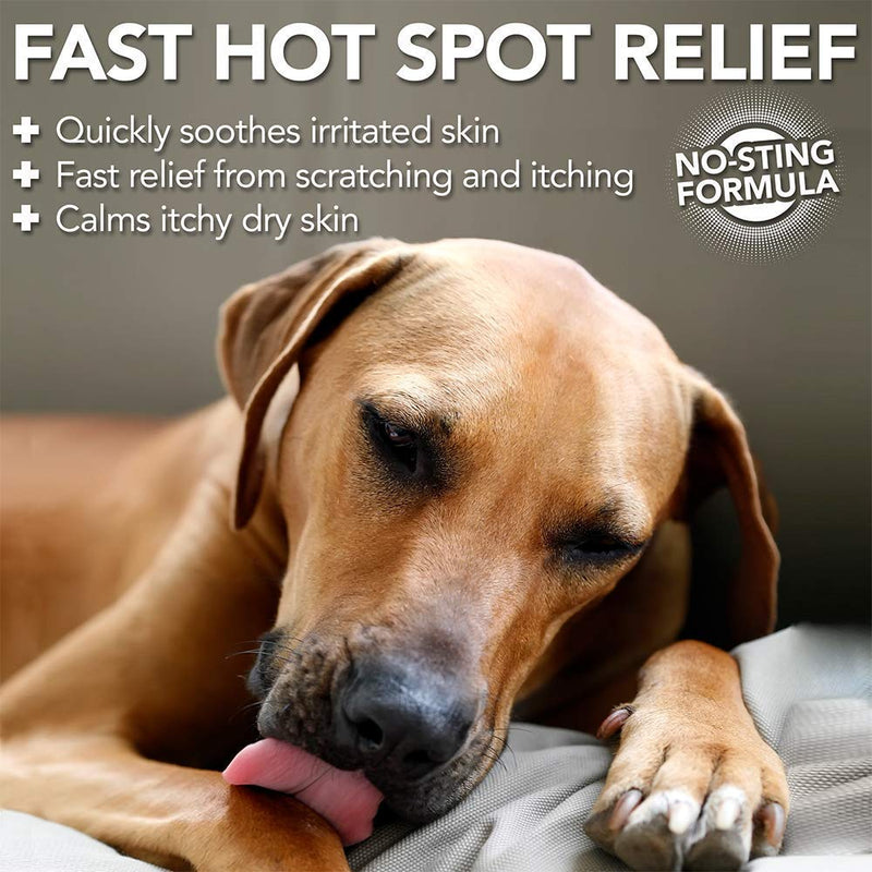 Vet's Best Allergy Itch Relief Spray for Dogs | Soothes Dog Dry Skin | Relieves The Urge to Itch, Lick, and Scratch | 8 Ounces - PawsPlanet Australia