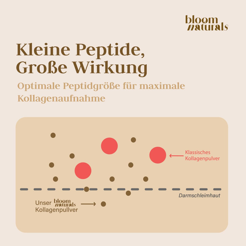 [Australia] - Collagen powder 1500g (1.5 kg) - high dose and tasteless collagen hydrolyzate powder, peptide type 1 & 3 - collagen powder, collagen peptides - produced in Germany XXL storage pack collagen 1500g (1.5 kg) 