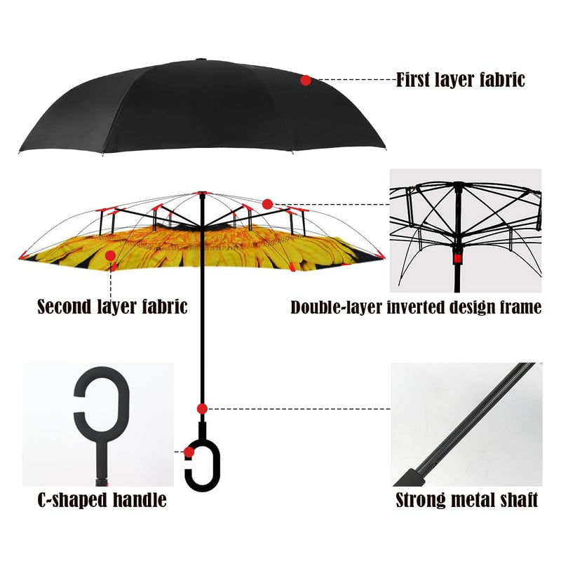Inverted Umbrella and Kids Clear Bubble Umbrella