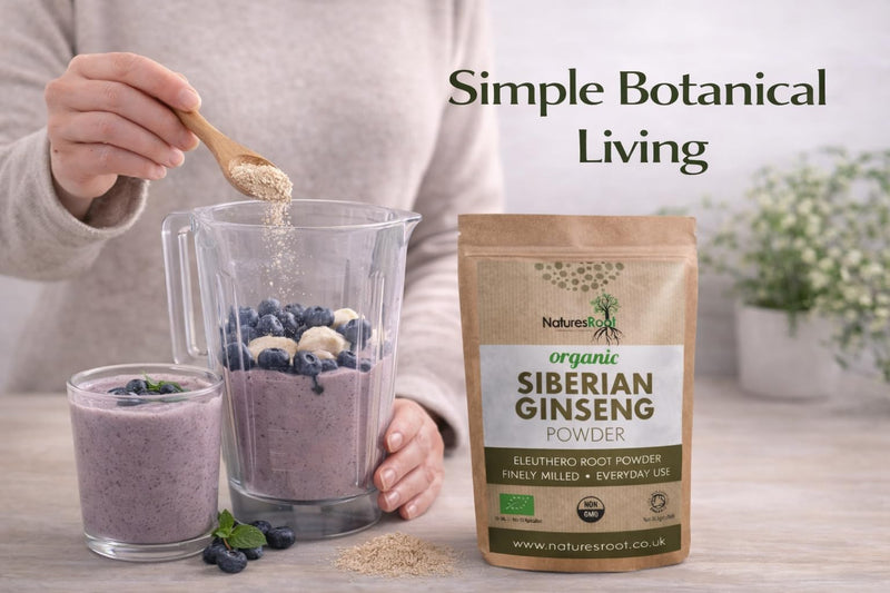 Natures Root Organic Siberian Ginseng Powder 500g - Boost Stamina & Immunity | Vegan | Non GMO | Raw 500 g (Pack of 1)