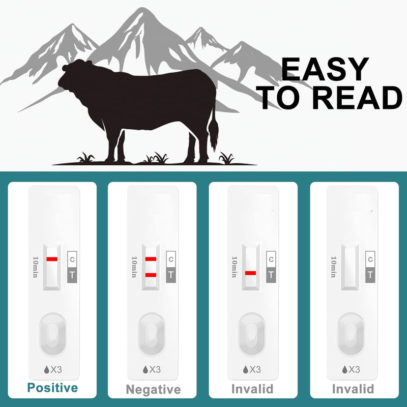 Cow Pregnancy Test kit, Home/Small Farm Use, 10-15 Minutes to Obtain Test Results, Accuracy Rate of Over 98.8%, Painless, Accurate and Quick