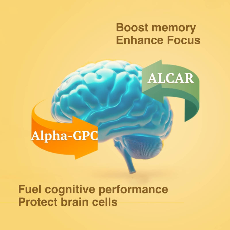 Brain Supplement for Memory and Focus, Nootropic for Adults, Fuel Brain Energy & Mental Clarity, Caffeine Free,Cognitive Support, Doctor-Formulated, Made in USA,cGMP,120 Caps