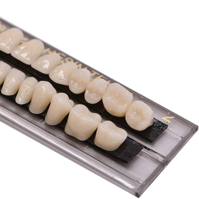 [Australia] - 56Pcs Dental Synthetic Acrylic Teeth Resin Denture False Teeth for Halloween Horror Prop 23 A2(28 Pcs/Set) 