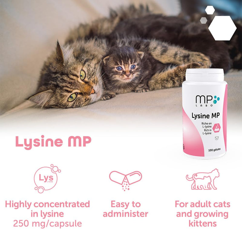 MP Labo Lysine MP 100 Capsules for Cats and Kittens - Rich in L-Lysine