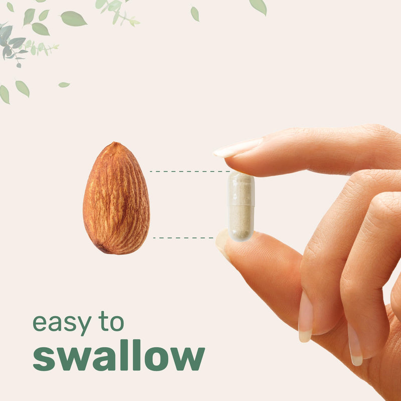 [Australia] - Micro Ingredients Psyllium Husk Caps, 500 Capsules | Soluble Fiber Supplement | India Origin | Natural Prebiotics & Probiotics | Gut & Digestive Health | Non-GMO, Gluten Free, Vegan 