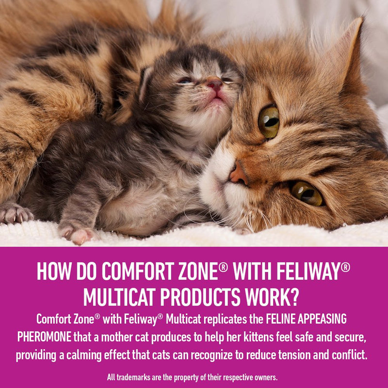 Comfort Zone Multicat Diffuser Kit for Cat Calming Old Feliway Formula Single Diffuser Kit - PawsPlanet Australia