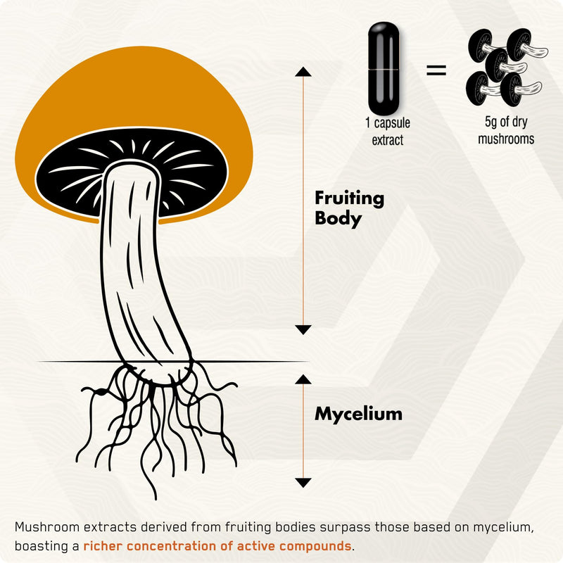 ● Premium Siberian Chaga Mushroom Extract Powder ● 10% Beta-D-Glucans ● 10:1 Concentrate ● No Fillers & Additives ● 30g ● 1 Month Supply