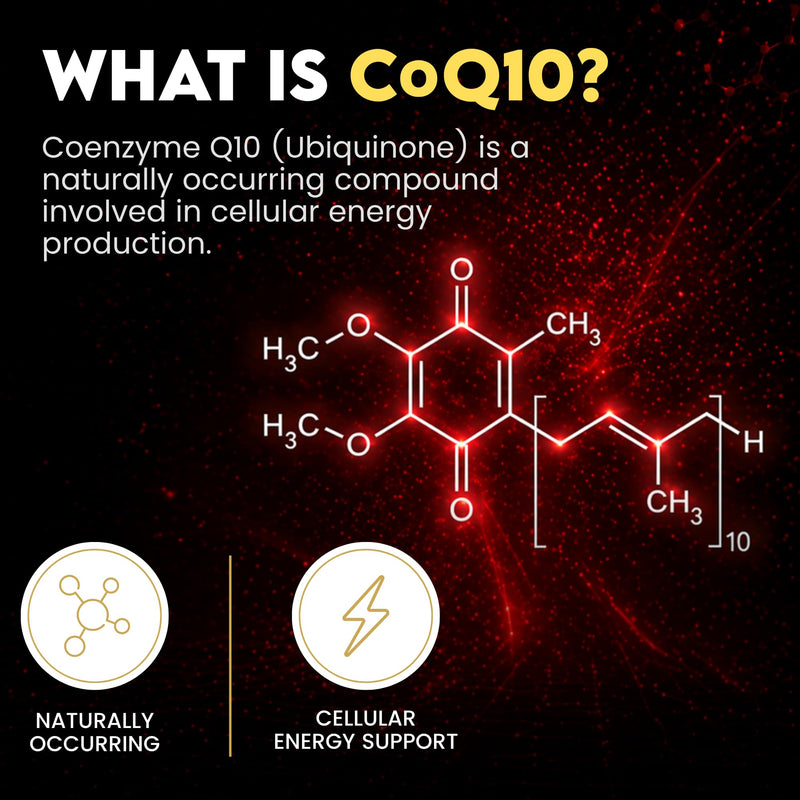 CoQ10 600mg Per Capsule – High Potency Coenzyme Q10 (Ubiquinone) – 120 Vegan Capsules – One Per Day – Clean Formula – Non-GMO & Gluten Free Supplement