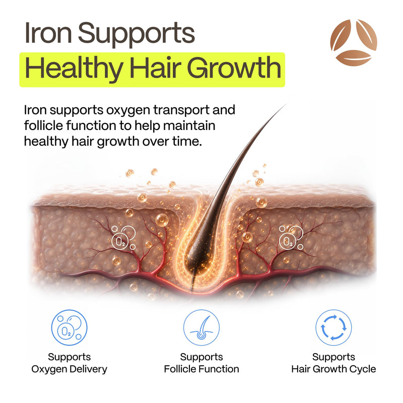 DermaIRON Iron Supplement for Women & Men – Gentle Iron for Low Ferritin & Anemia Support, Hair Thinning & Hair Loss Support, with Collagen & Vitamin C 60 Count (Pack of 1)