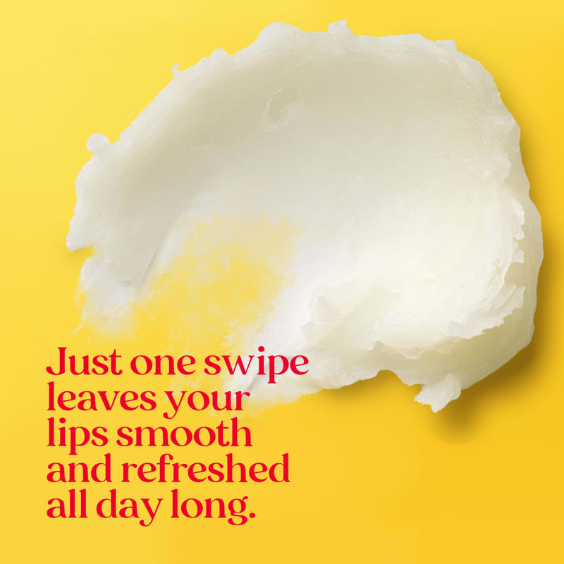 Burt's Bees Lip Balm, Vanilla Bean, Lip Moisturizer With Responsibly Sourced Beeswax, Tint-Free, Natural Conditioning Treatment, 1 Tube, 0.15 oz. (Pack of 2) 1 Count (Pack of 2)