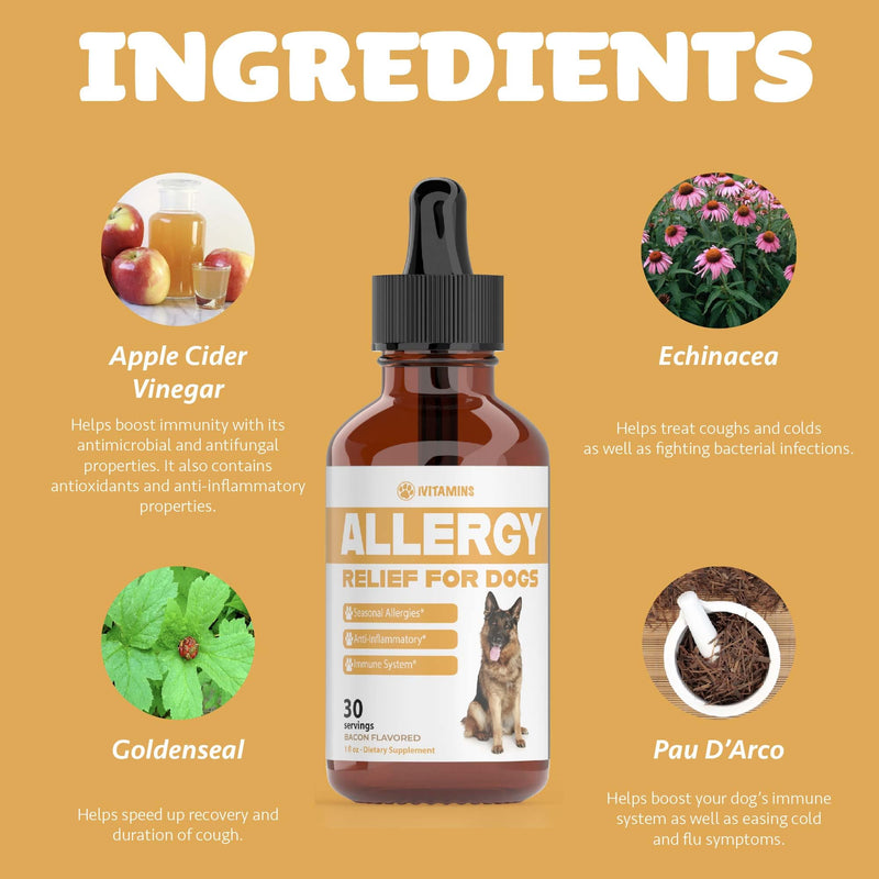 Natural Dog Allergy Relief - Helps to Naturally Support Allergy & Itch Relief for Dogs - Allergy Relief for Dogs Itching - Itch Relief for Dogs - Dog Itch Relief - Dog Allergy Support - 1 fl oz (Dogs) - PawsPlanet Australia