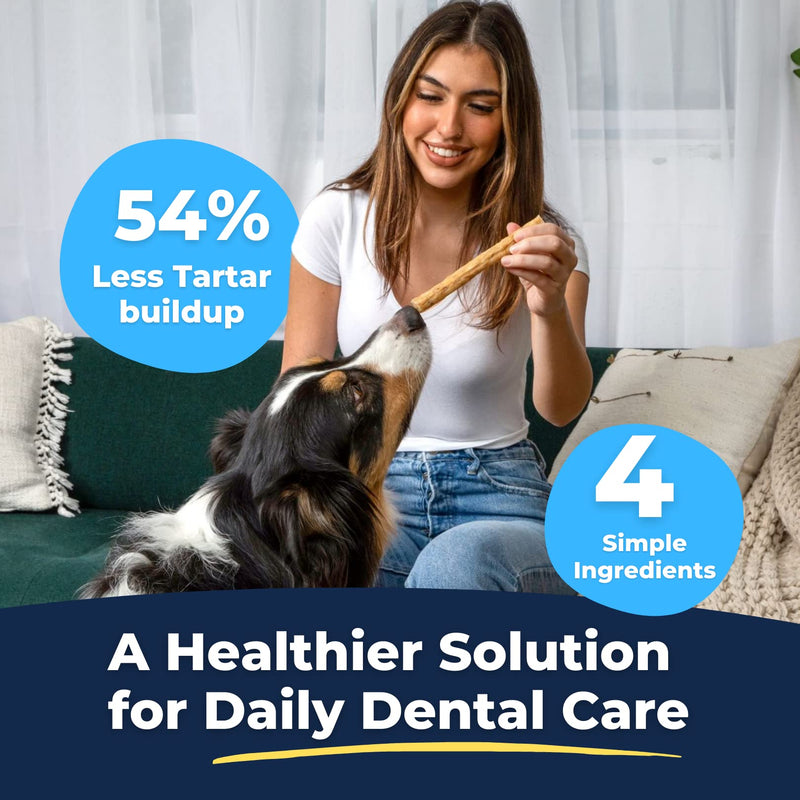Tartar Shield Soft Rawhide Chews | Safe Dental Treats for Large Dogs | Vet VOHC Approved | Daily Bone Cleans Teeth & Gums Fresh Breath Oral Health Support | USA Made | (Large Dogs / 24 Count) Large Dog - 24 Ct. - PawsPlanet Australia