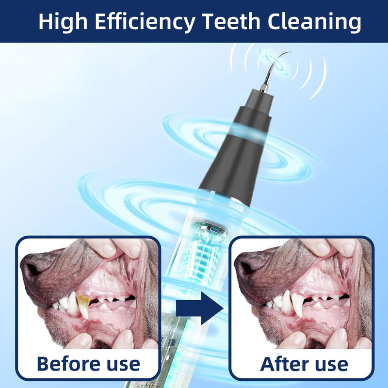 [Australia] - Dental Plaque Remover Tool-，Dental Scraper for Tartar and Plaque 3 Cleaning Moder USB Charge Teeth Cleaning Tools with LED Light Black 