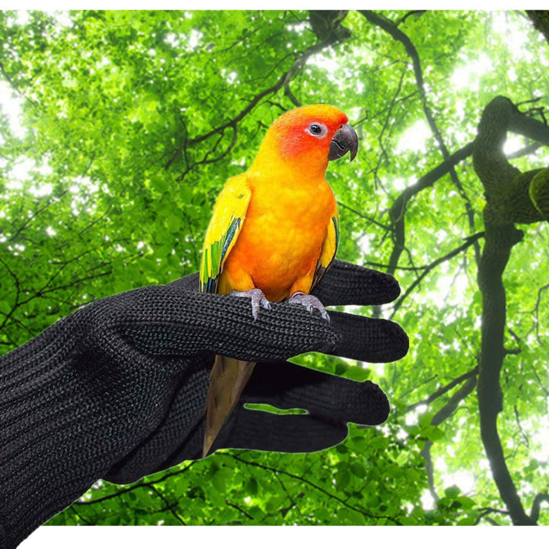 alfyng Bird Training Anti-Bite Gloves, Small Animal Handling Gloves, Chewing Protective Gloves for Small Animal Pet Squirrels Hamster Parrotlets Cockatiels Finch Macaw (1 Pair) Black - PawsPlanet Australia