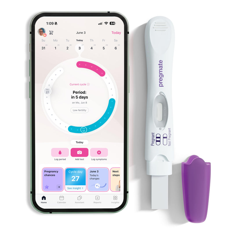 Pregmate Pregnancy Midstream Tests (10 Count)