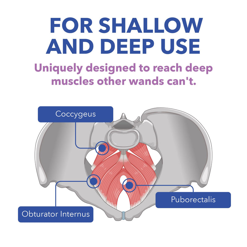 [Australia] - Intimate Rose Pelvic Wand for Pelvic Muscle Pain Relief - Pelvic Physical Therapy Vibration - Men & Women 