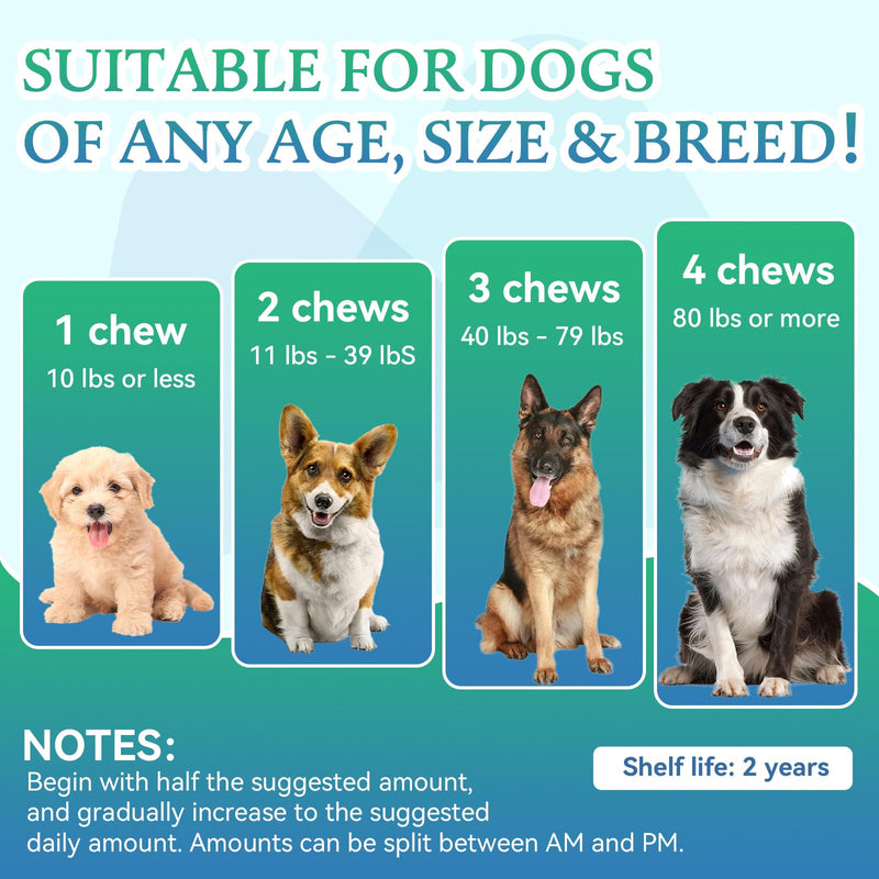 Joint Supplement for Dogs - Dog Joint Supplement Glucosamine for Dogs Hip and Joint Chondroitin Chews Treats for Dogs with MSM Lipid Mussels Vitamins Dog Hip and Joint Supplement for All Breed 200pcs - PawsPlanet Australia