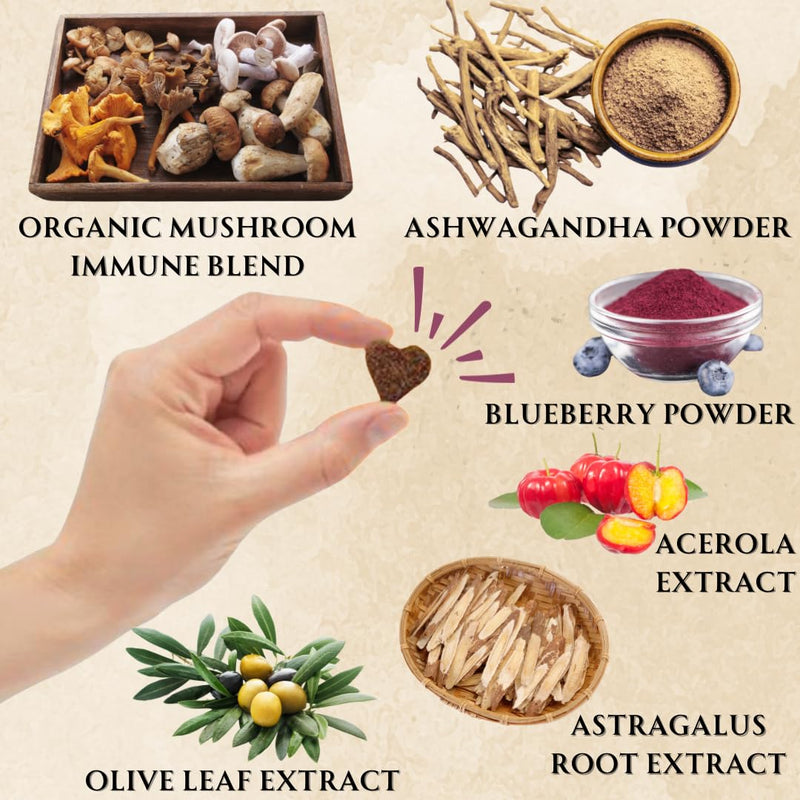 Dogs Immune Support Mushroom Supplement - Supports Longevity, Cognition, Joint, Cellular & Gut Health - All Natural Organic, GrainFree - Buddy Guard for Lumps and Bumps, Chicken Flavor - 90 Chews - PawsPlanet Australia