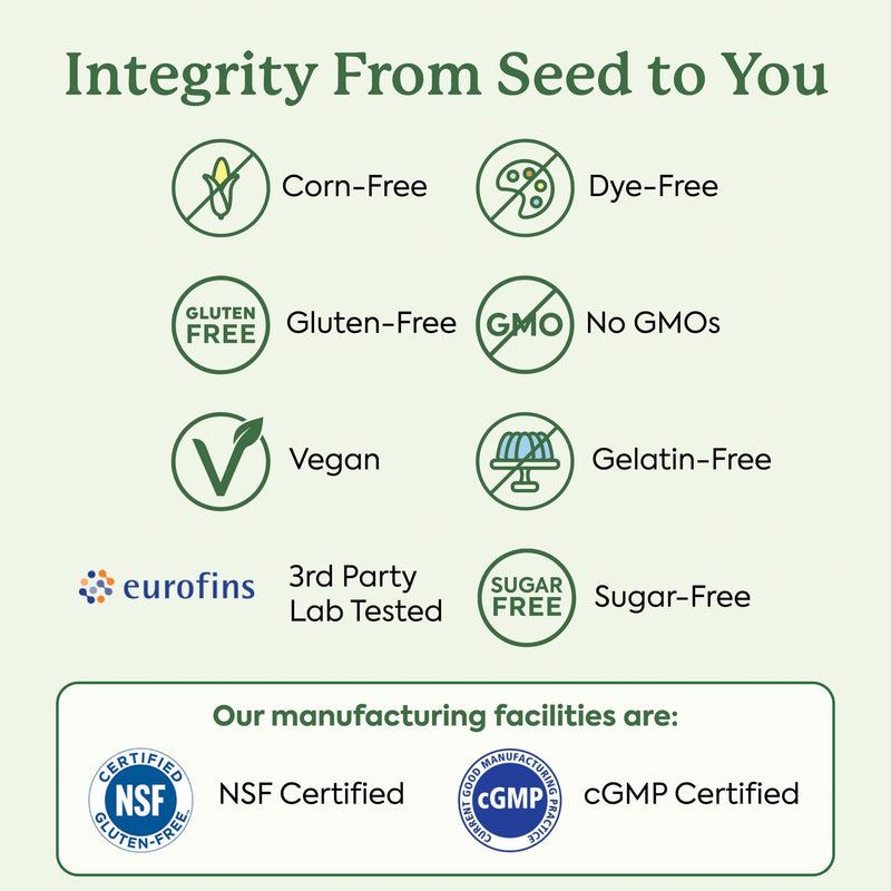 [Australia] - Plant People WonderFocus Mushroom Gummies with Lion‚Äôs Mane & Cordyceps - Nootropic Brain Supplement Boosts Memory, Focus, Energy & Mood in Adults | No Sugar, 100% Vegan, Citrus Flavor, 60 Count 60 Count (Pack of 1) 