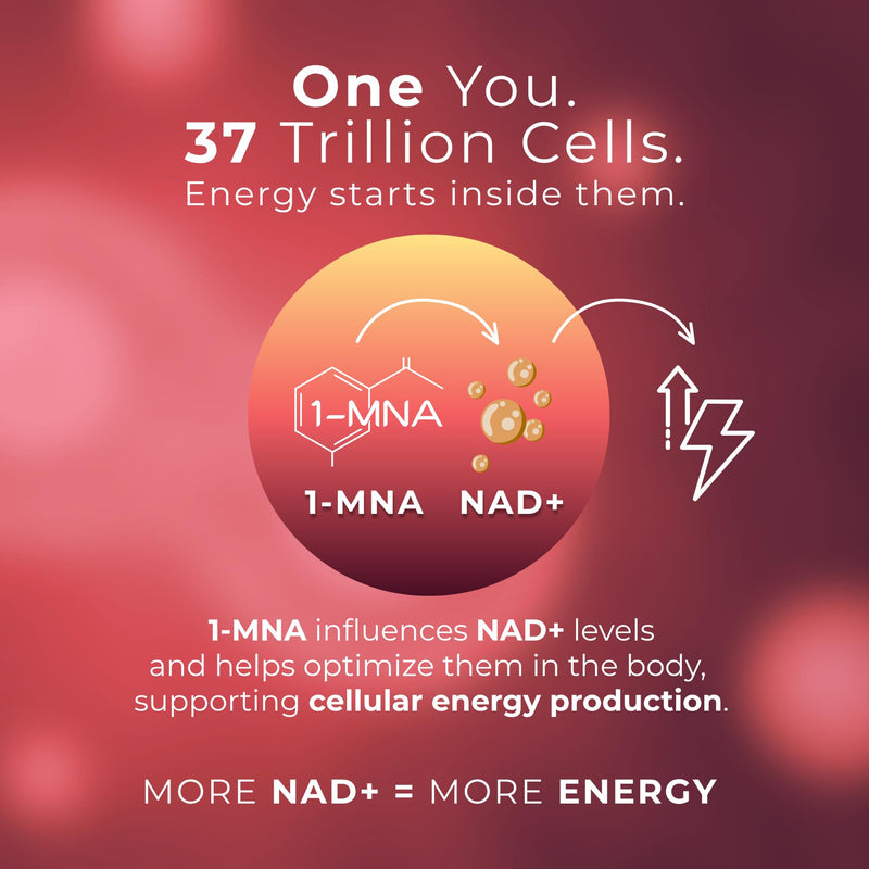 NAD+ Optimiser with Trans Resveratrol, 1-MNA, Zinc – Polyphenols & NAD Precursors – Supports Cellular Vitality & Energy – Vegan, Gluten-Free, Daily Antioxidant - 30 Capsules