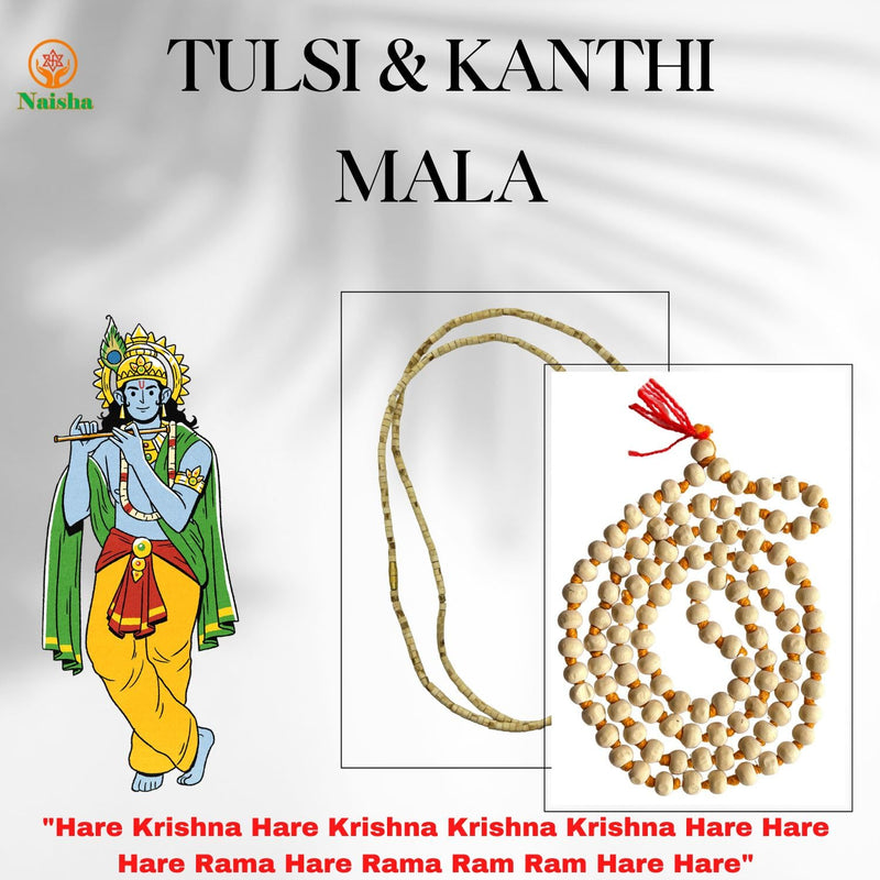 Naisha Tulsi Holy Basil Japa Mala 108+1 Beads & Tulsi Kanthi Mala Tulsi Ki Mala 2 Round Neck Mala Original for Daily Mantra Jaap, (Pack of 2), Wood, rudraksha
