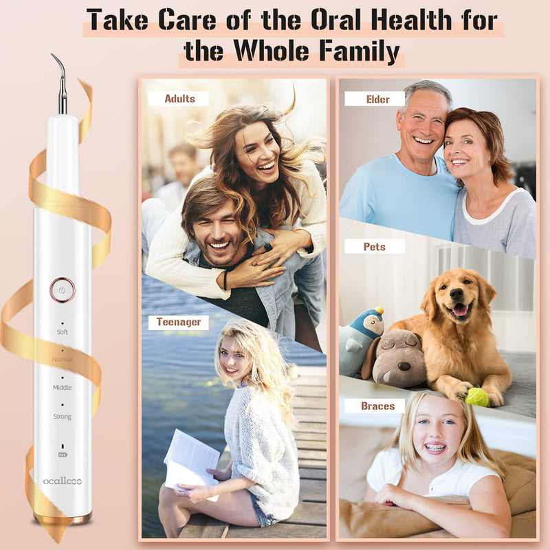 [Australia] - Plaque Remover for Teeth, Electric Tooth Cleaner Tartar Remover for Teeth with LED Light,4 Modes Rechargeable Teeth Cleaning Kit with Dental Tools, 2 Replaceable Heads (White A) 