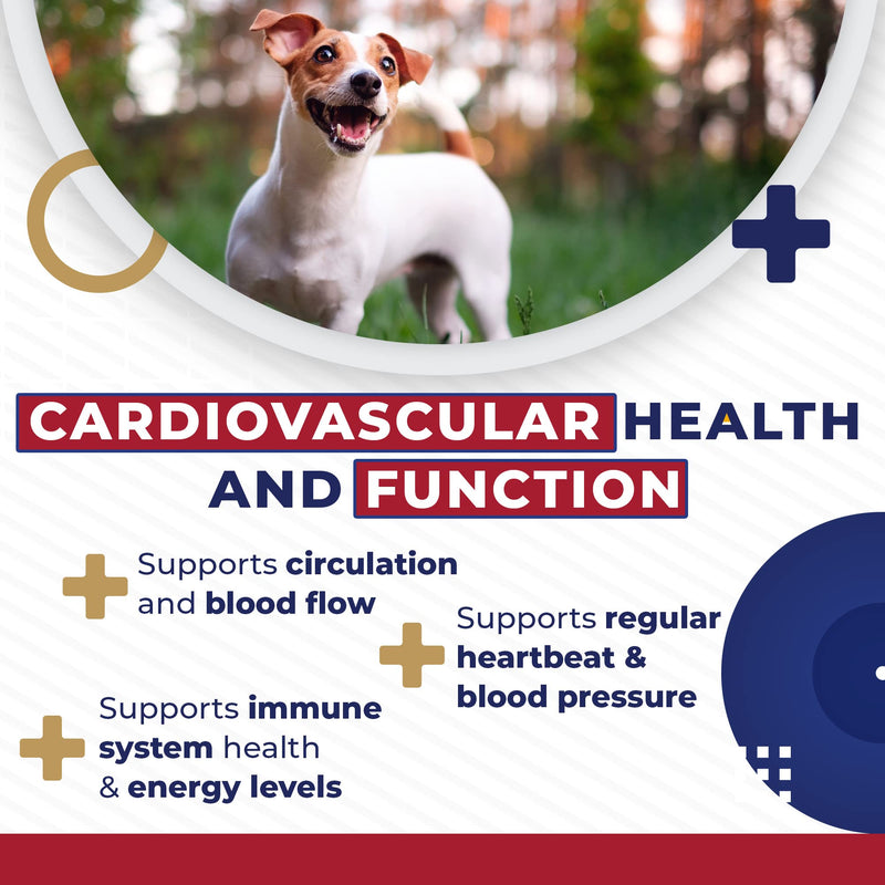 Cardio Tabs Heart Support Supplement for Dogs - Aids Cardio Support and Cardio Strength Supplement for Dog, L-Taurine, L-Carnitine, Hawthorn, L Arginine, Coenzyme Q10 - Made in USA - 120 Tablet - PawsPlanet Australia