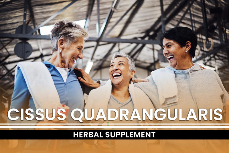 [Australia] - Pure Original Ingredients Cissus Quadrangularis (365 Capsules) No Magnesium Or Rice Fillers, Always Pure, Lab Verified 365 Count (Pack of 1) 