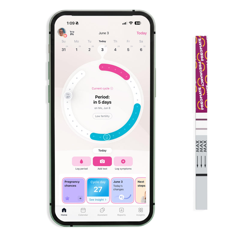 Pregmate Pregnancy Test Strips (20 Count)