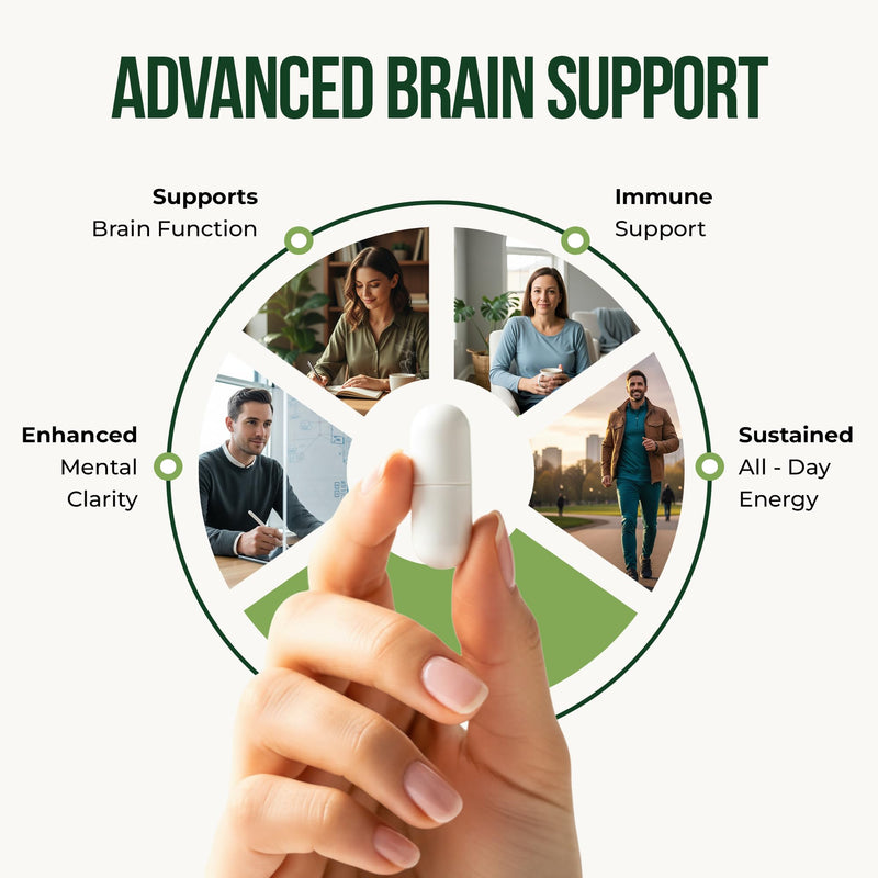AM 7-in-1 Nootropic Brain Supplement | Support Cognitive Function, Focus & Mental Performance | with Lion’s Mane, Caffeine (125 mg) & Acetyl L-Carnitine | 30 Vegan Capsules | UK Made