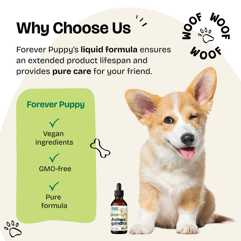 Ashwagandha Drops for Dogs - Calming Care with Ashwagandha Root Tincture - Liquid Alternative to Calming Chews for Dogs' Composure & Relaxation - Canine Vitamins and Supplements - 4 oz 4 fl oz - PawsPlanet Australia