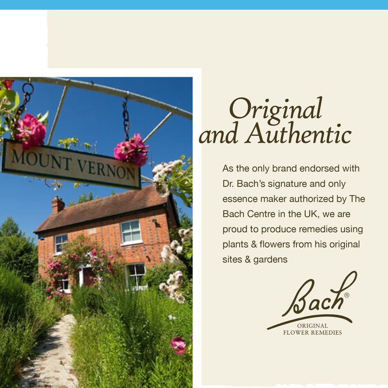[Australia] - Bach Original Flower Remedies, Chicory for Unconditional Love (Non-Alcohol Formula), Natural Homeopathic Flower Essence, Holistic Wellness and Stress Relief, Vegan, 10mL Dropper 