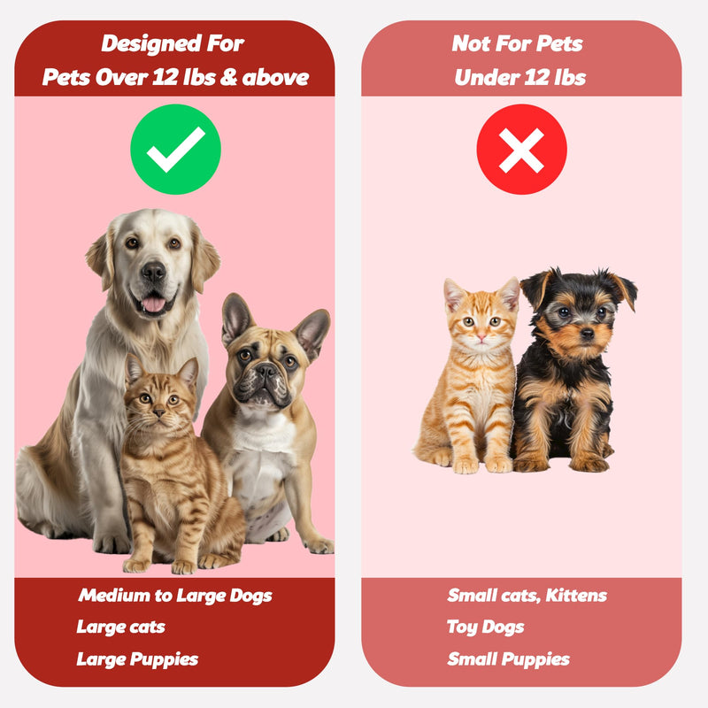 [Australia] - Pet Toothbrush for Dogs, Cats with Soft Bristles - Easy Teeth Cleaning & Dental Care, Non Slip Dual Head Dog Toothbrush for Medium & Large Pets, Toothpaste Not Included, Pack of 2 Pack of 2(red) 